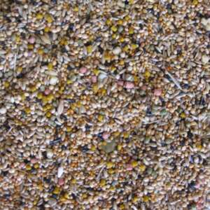 Deli Nature Foreign Finches премиум храна за Финки, 0.800 кг