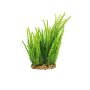 Изкуствено растение Mayaca, 20 см