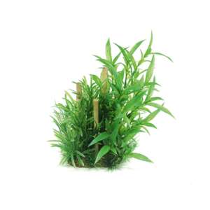 Изкуствено растение Hygrophila siamensis & bamboo, 20 см