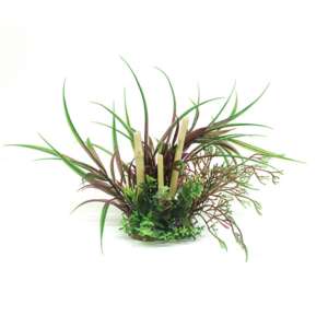 Изкуствено растение Lagarosiphon madagascariensis Red & bamboo, 20 см