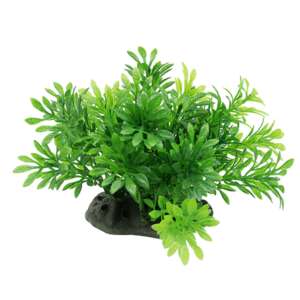 Изкуствено растение Micranthemum, 10-12 см