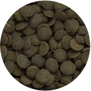 Hikari Mini Algae Wafers, Ежедневна храна за дънни риби
