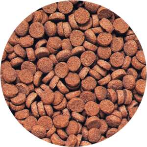 Hikari Sinking Carnivore Pellets, Бързопотъваща храна за месоядни риби, 74 гр
