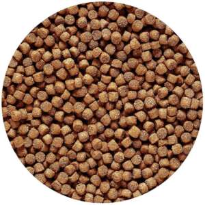 Hikari Wheat-Germ mini pellet, Ежедневна храна за студени сезони