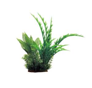 Изкуствено растение Dizygotheca mix, 31 см