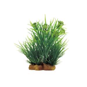 Изкуствено растение Sagittaria mix 12 см