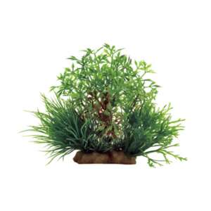 Изкуствено растение Hygrophila difformis mix