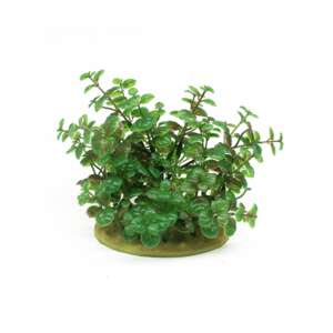 Изкуствено растение Elodea OY-60101, 15 см