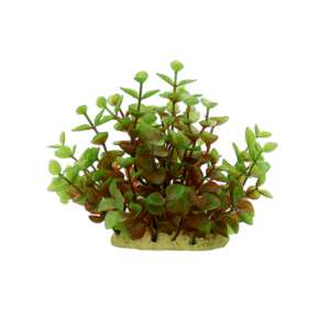 Изкуствено растение Ludwigia red-green OY-60114, 15 см