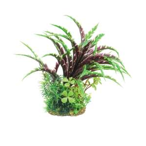 Изкуствено растение Dizygotheca mix, 20 см