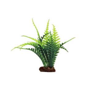 Изкуствено растение Polypodiophyta, 6 броя х 10 см