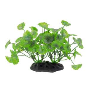 Изкуствено растение Hydrocotyle, 10-12 см