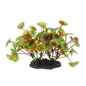Изкуствено растение Hydrocotyle red-green, 10-12 см