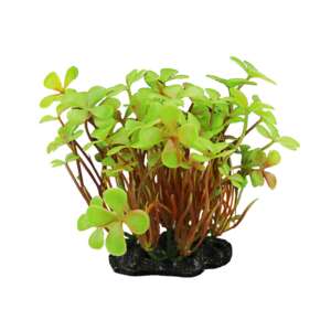 Изкуствено растение Marsilea yellow, 10-12 см