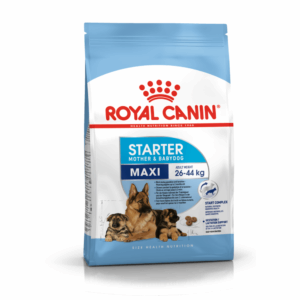 Royal Canin Maxi Starter Mother & Babydog, Храна за бременни, кърмещи и подрастващи кучета от едри породи