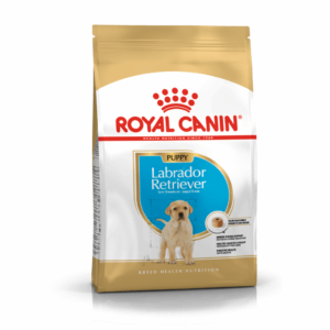 Royal Canin Labrador Retriever Puppy, Храна за подрастващи лабрадори