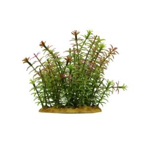 Изкуствено растение Rotala indica OY-60112, 15 см