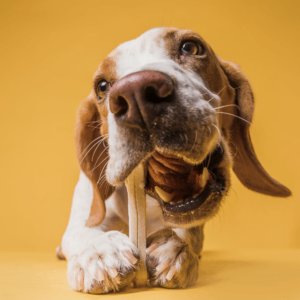 Пресован кокал от телешка кожа,  8 размера