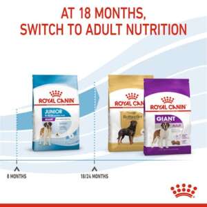 Royal Canin Giant Junior, Храна за подрастващи кученца над 8 месеца от гигантска порода