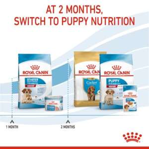 Royal Canin Medium Starter Mother & Babydog, Храна за бременни, кърмещи и подрастващи кучета от средни породи