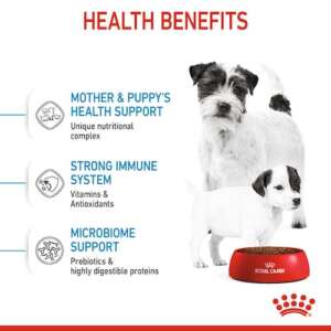 Royal Canin Mini Starter Mother & Babydog, Храна за бременни, кърмещи и подрастващи кучета от мини породи