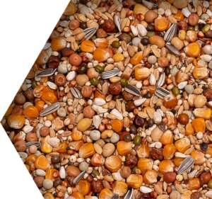 Beyers Premium Super Moulting, Храна за линеене на гълъби, 20 кг