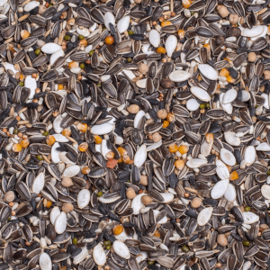 Deli Nature 28 Germination Seeds Parrots, Смес за покълване, 10 кг
